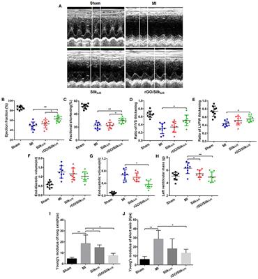 rGO/Silk Fibroin-Modified Nanofibrous Patches Prevent Ventricular Remodeling via Yap/Taz-TGFβ1/Smads Signaling After Myocardial Infarction in Rats